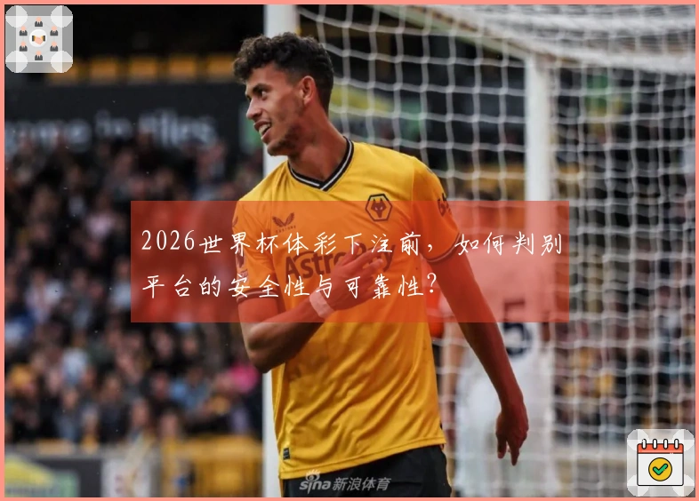 2026世界杯体彩下注前，如何判别平台的安全性与可靠性？